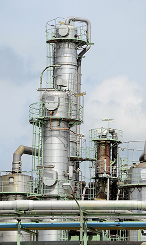 品種齊全，品質有保障